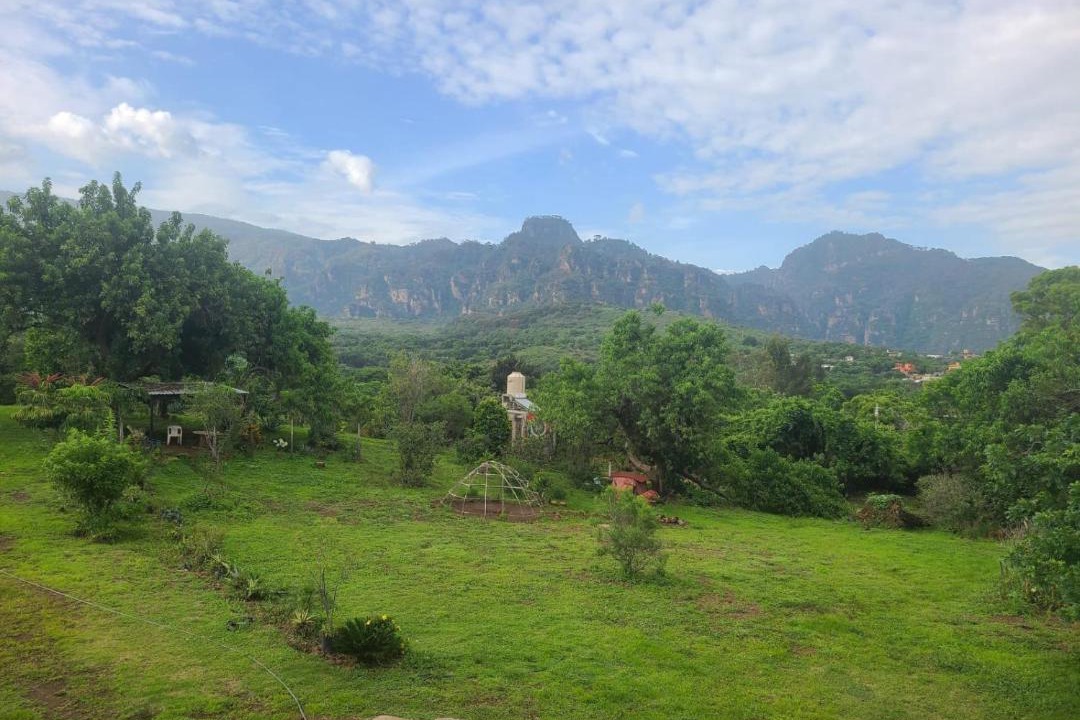 Photo of Others in Amatlan