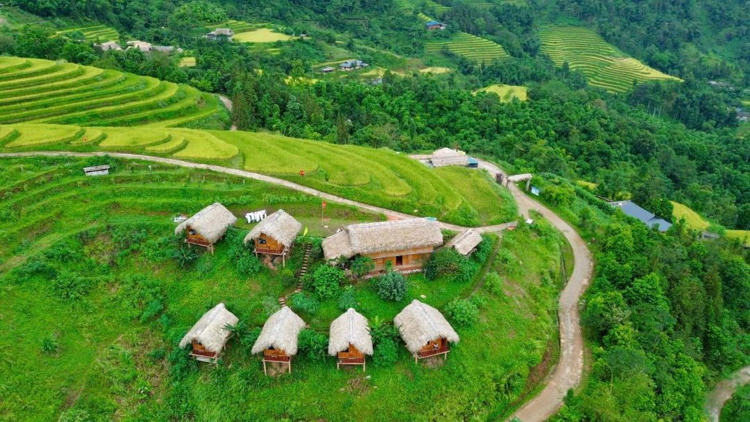 Photo of Others in Thong Nguyen