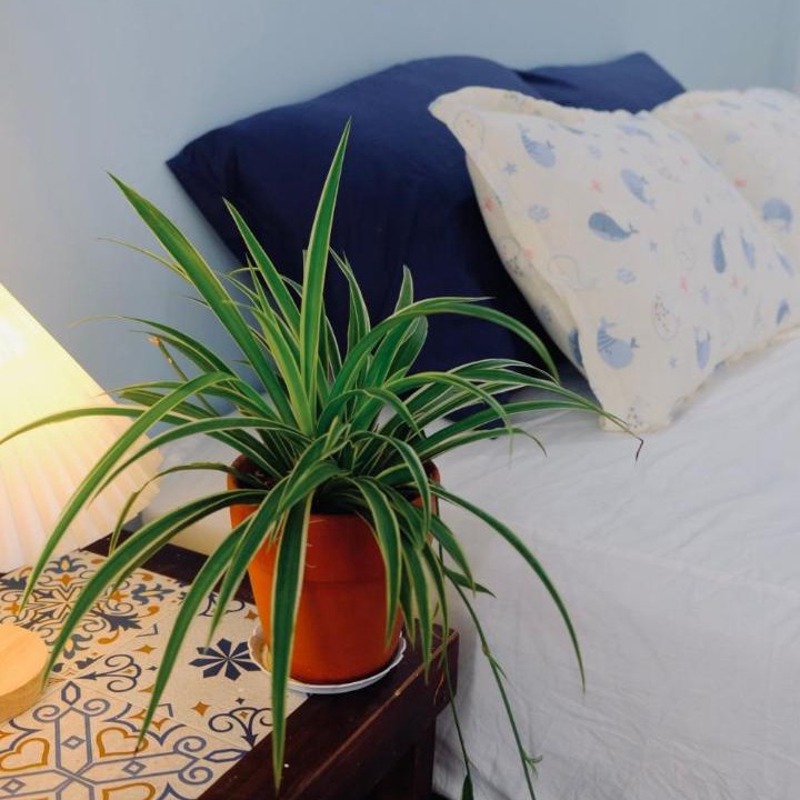 Photo of Bedroom in Quy Nhon