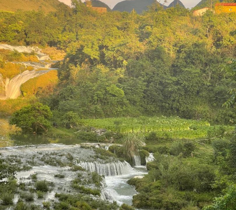 Photo of Others in Ha Lang