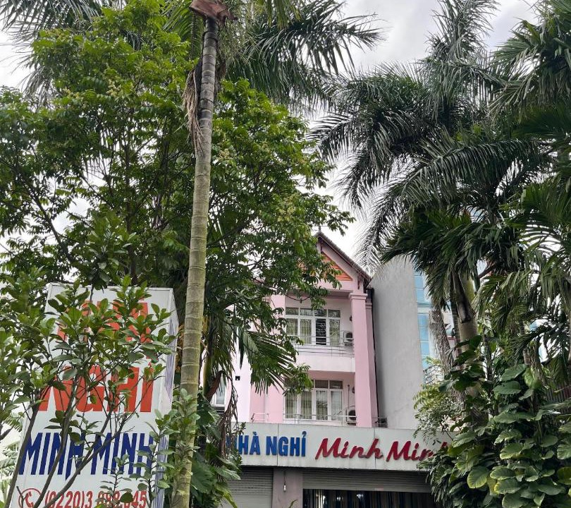 Photo of Others in Chi Linh