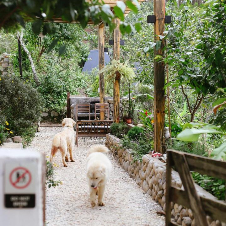 Photo of Outdoor in Da Lat