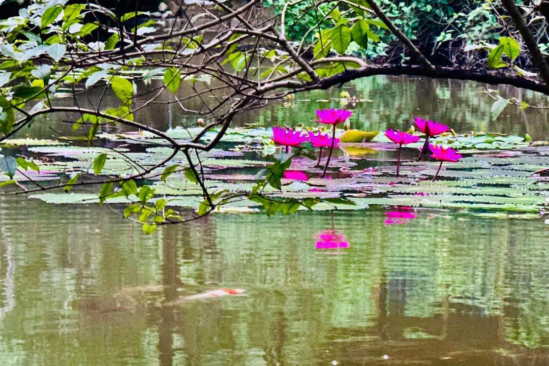 Photo of Others in Hoa Lu