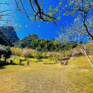 Photo of Others in Moc Chau