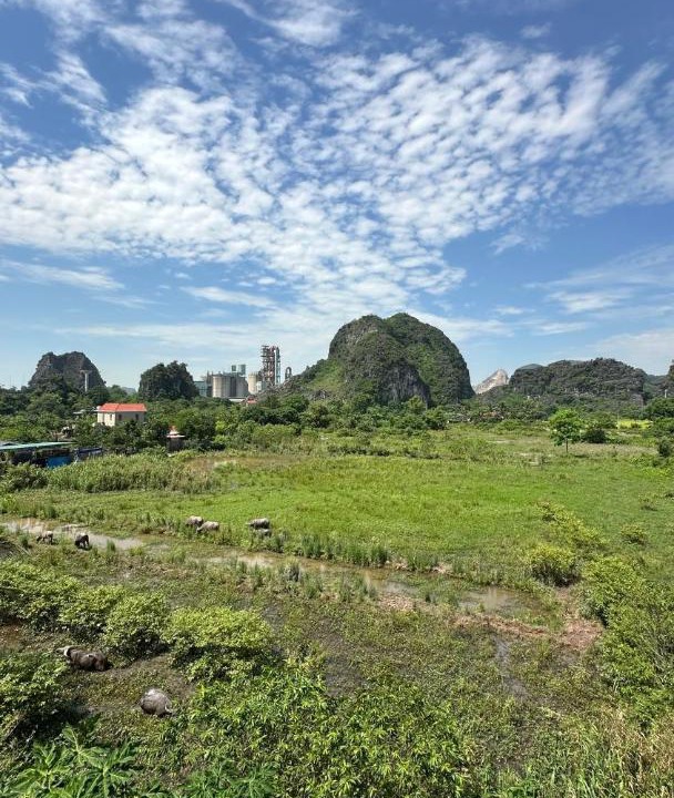 Photo of Others in Hoa Lu