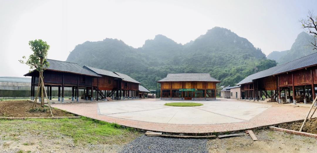 Photo of Others in Nho Quan