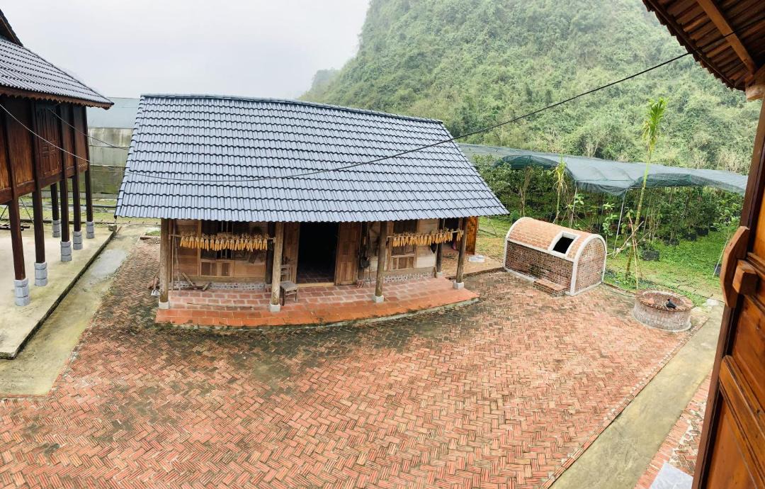 Photo of Others in Nho Quan