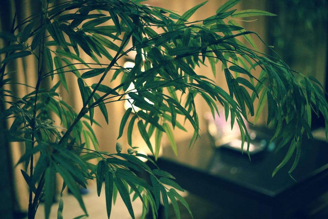 Photo of Others in Yonghe
