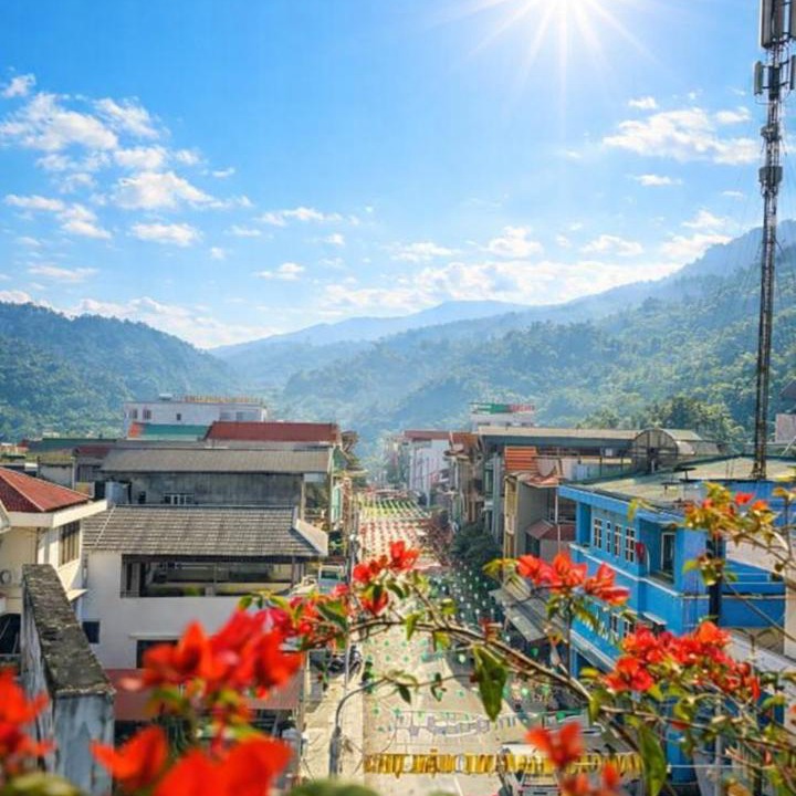 Photo of Others in Bao Lac