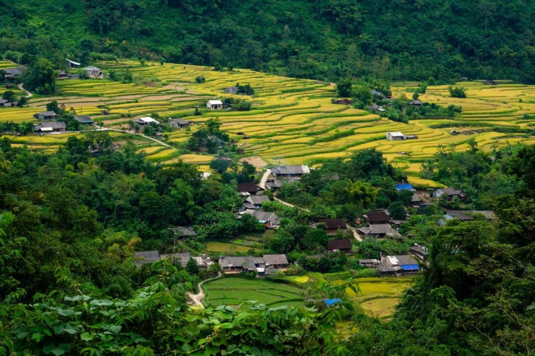 Photo of Others in Nam Mau