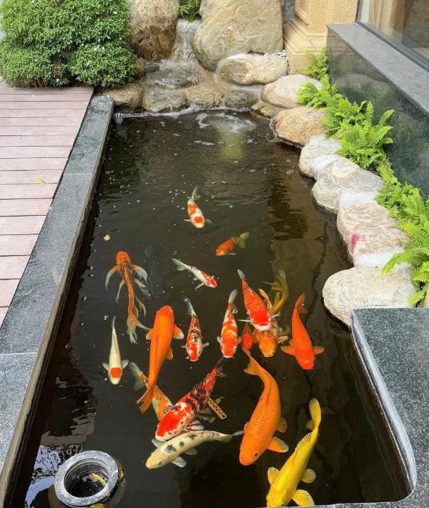 Photo of Others in Lang Son
