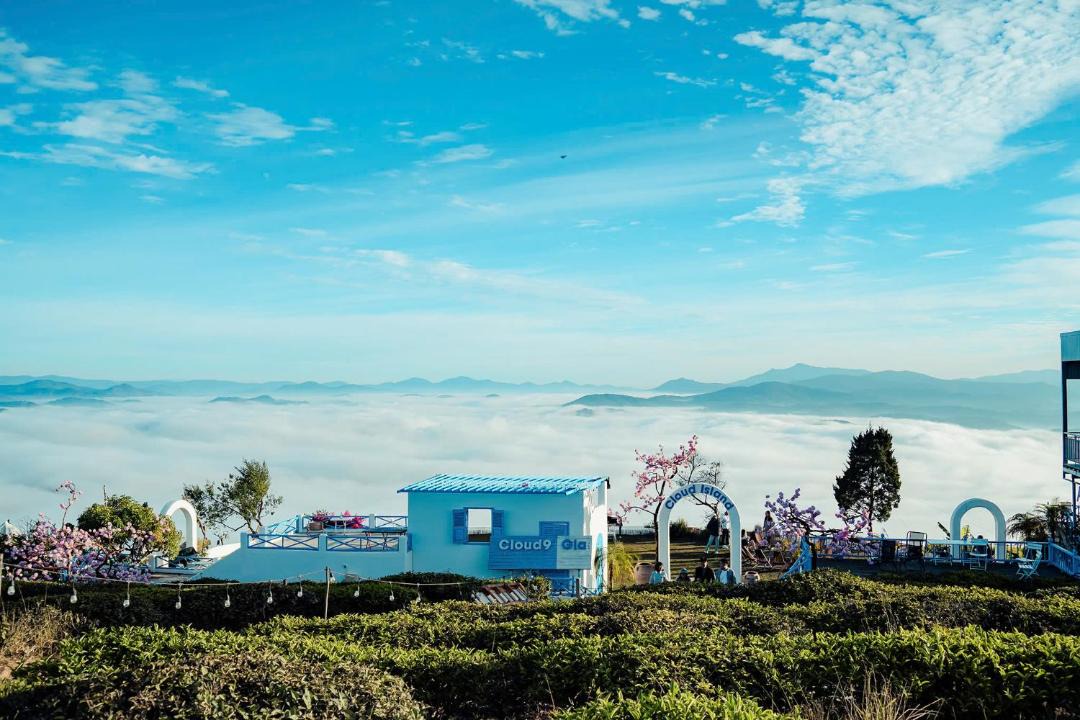 Photo of Others in Da Lat