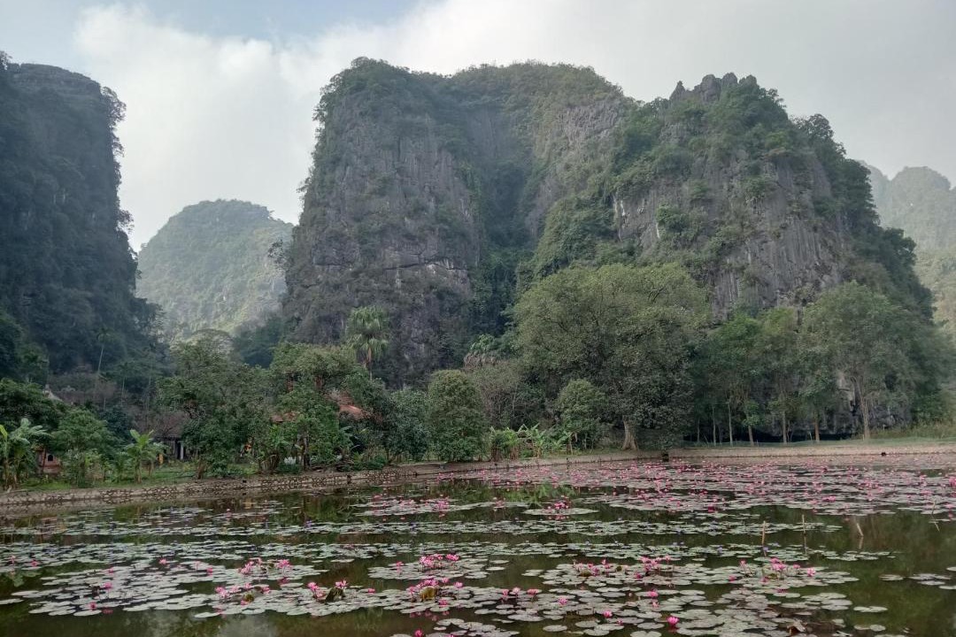 Photo of Others in Hoa Lu