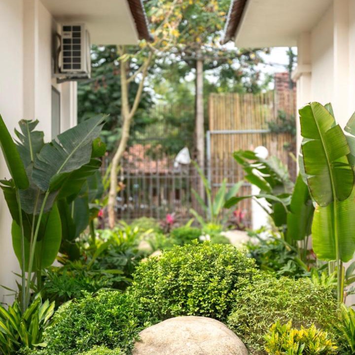 Photo of Others in Hoa Lu