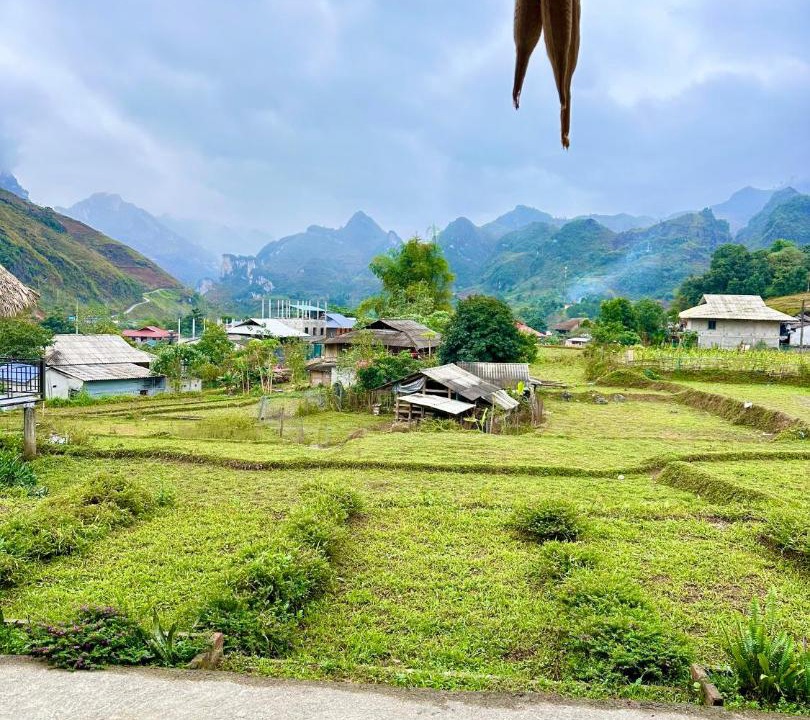 Photo of Others in Yen Minh