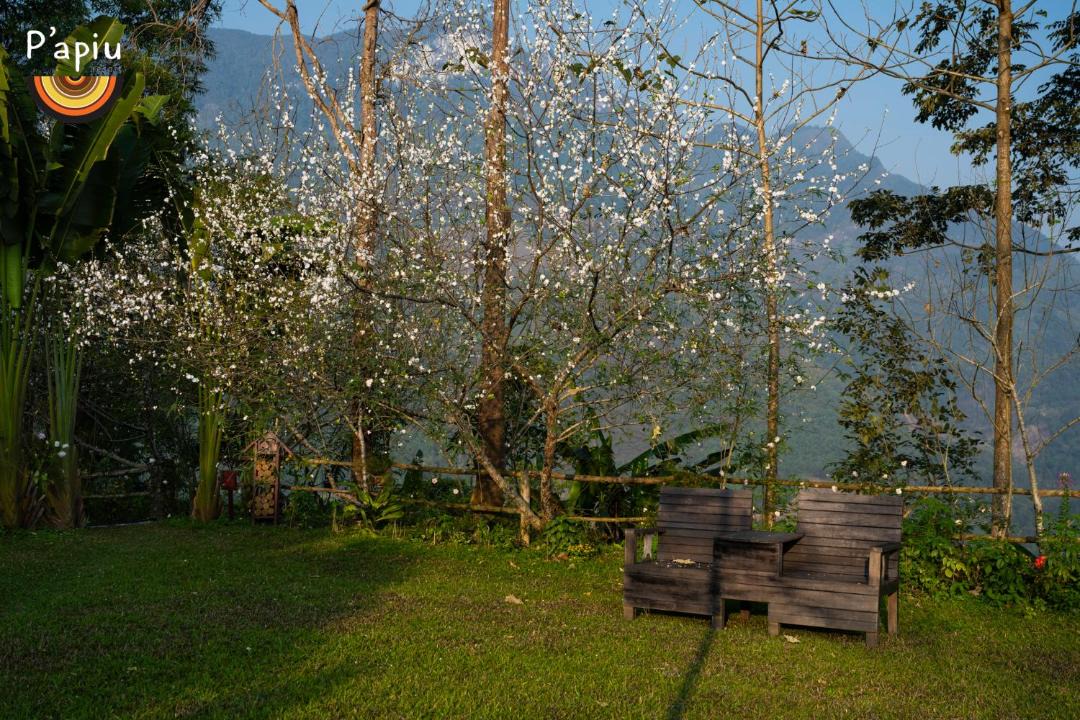 Photo of Outdoor in Bac Me