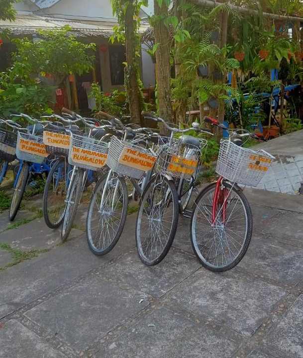 Photo of Outdoor in Dien Duong