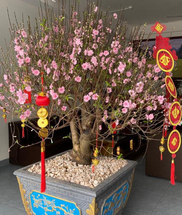 Photo of Others in Hoa Lu