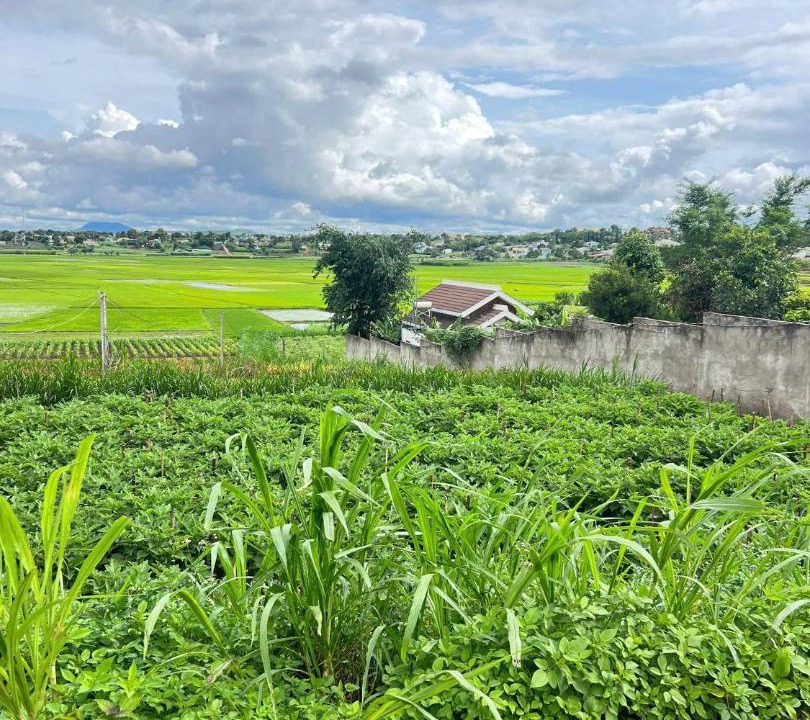 Photo of Others in Pleiku