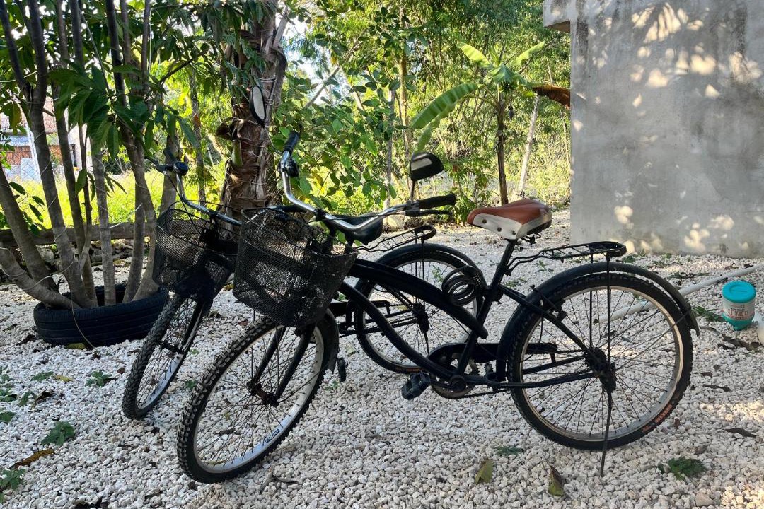 Photo of Others in Tulum