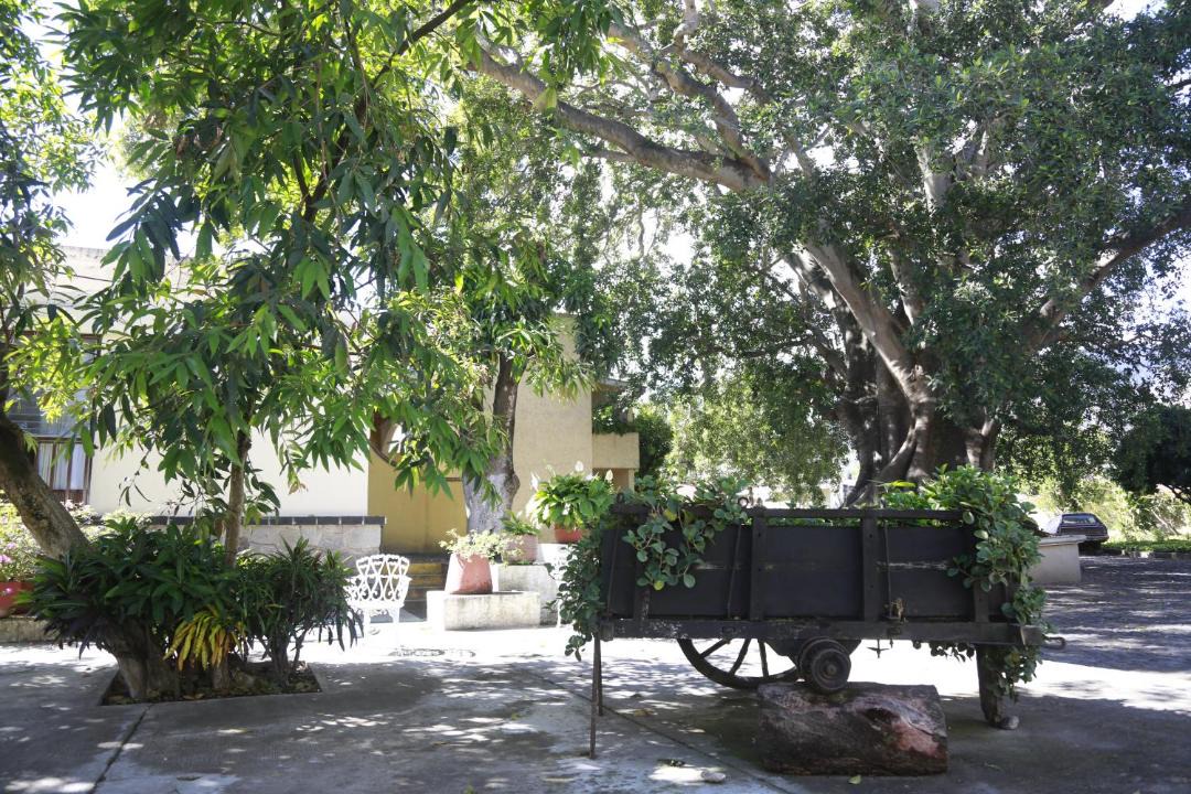 Photo of Others in Centro