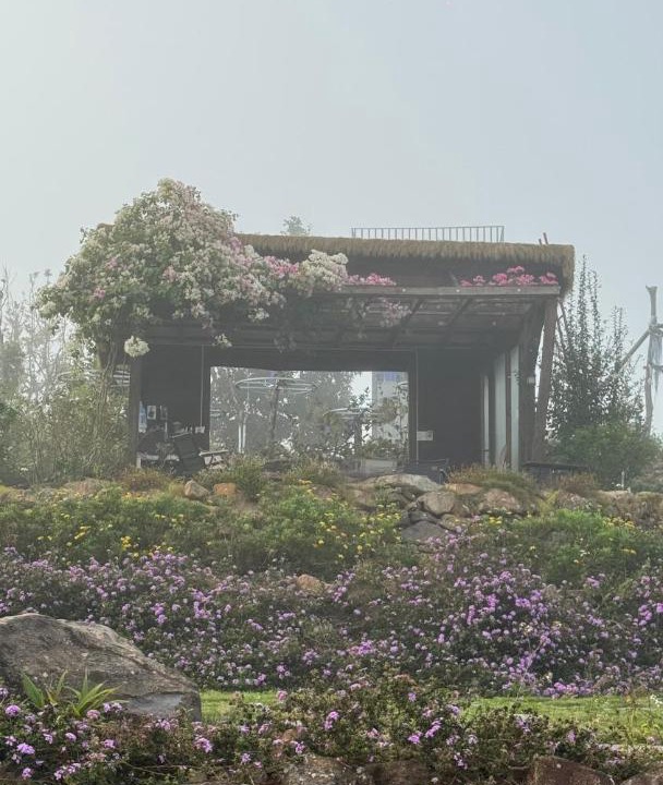 Photo of Others in Tan Thanh