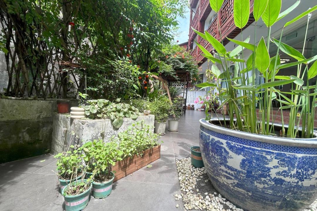 Photo of Others in Fenghuang