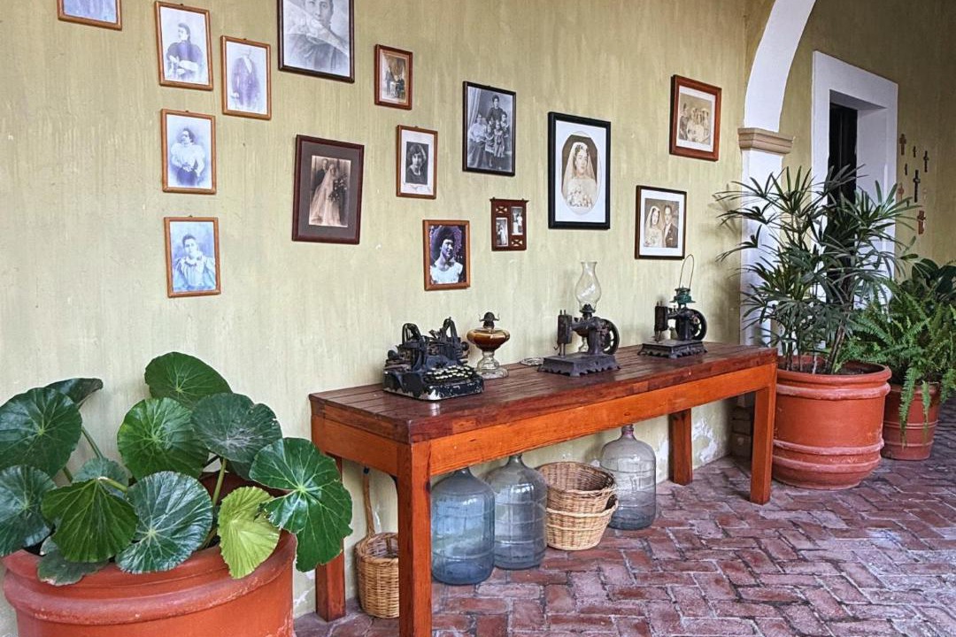 Photo of Others in Mascota