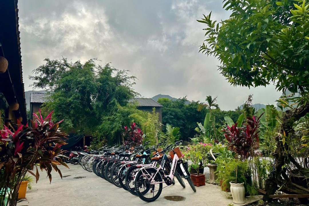 Photo of Others in Hoa Lu