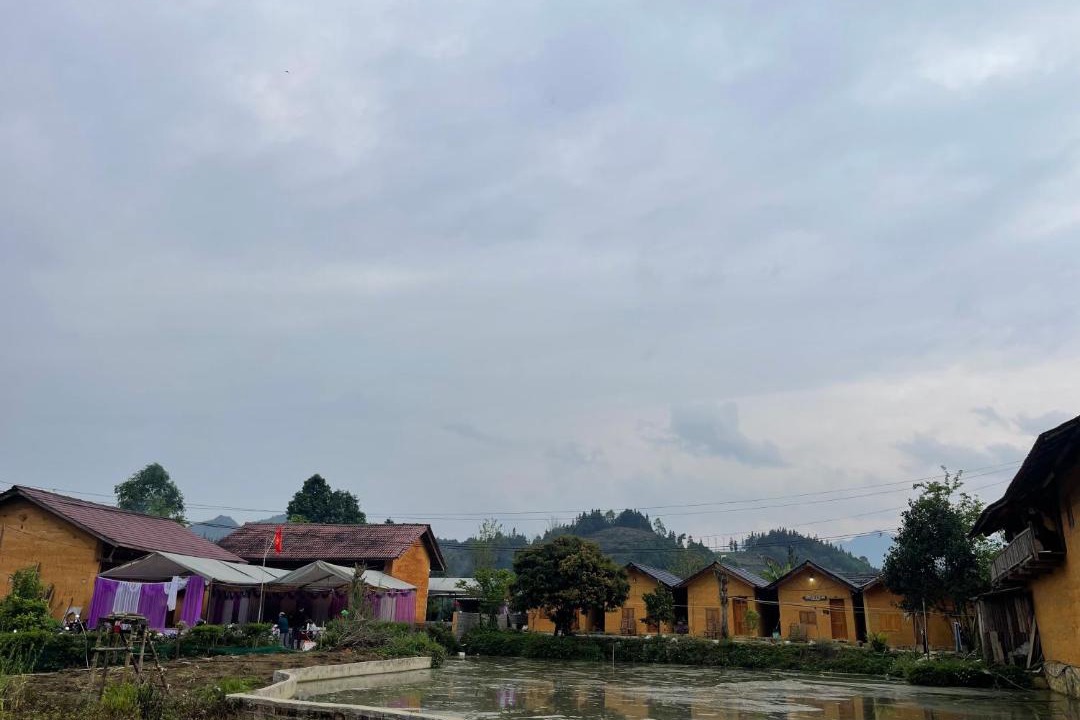 Photo of Others in Quan Ba