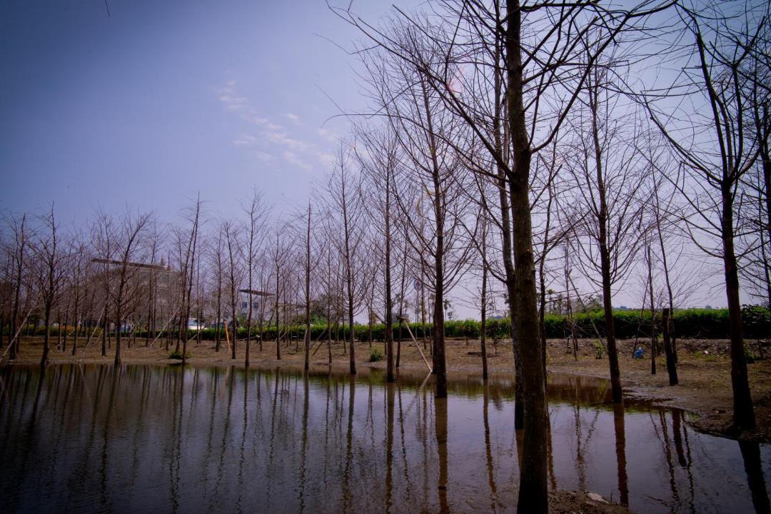 Photo of Others in Hualien City Centre