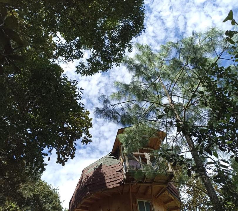 Photo of Others in San Jose del Pacifico