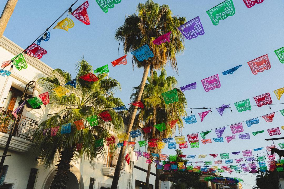 Photo of Others in Downtown San Jose del Cabo