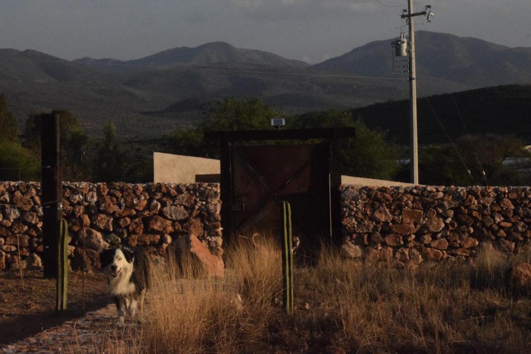 Photo of Others in Ezequiel Montes