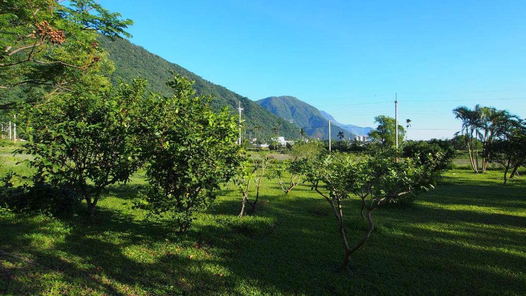 Photo of Others in Xiulin