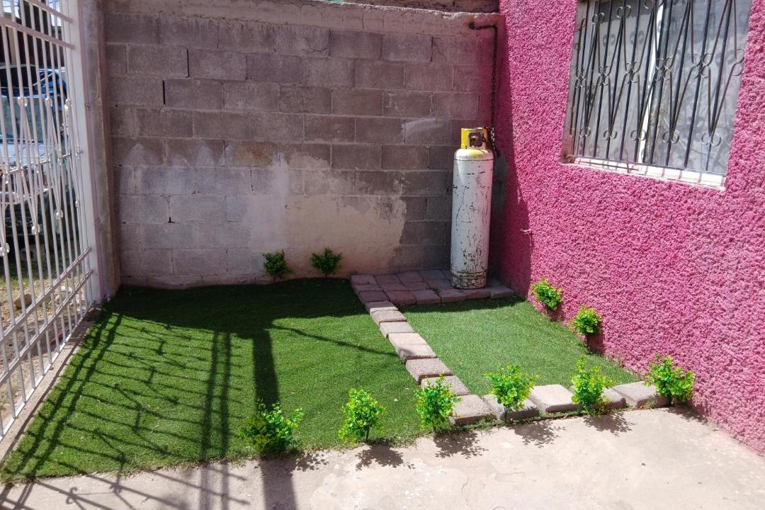 Photo of Others in Chihuahua