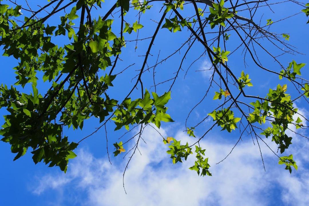 Photo of Outdoor in Xiulin