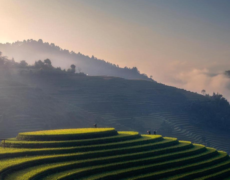 Photo of Others in Mu Cang Chai