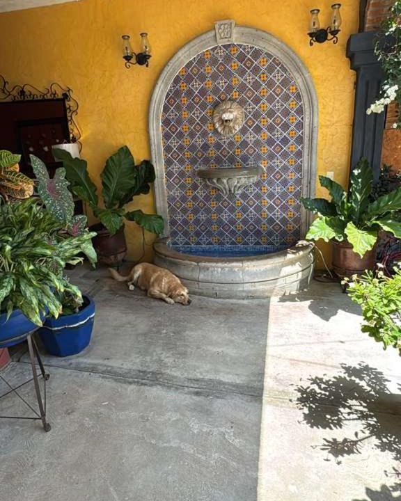 Photo of Others in Punta Perula