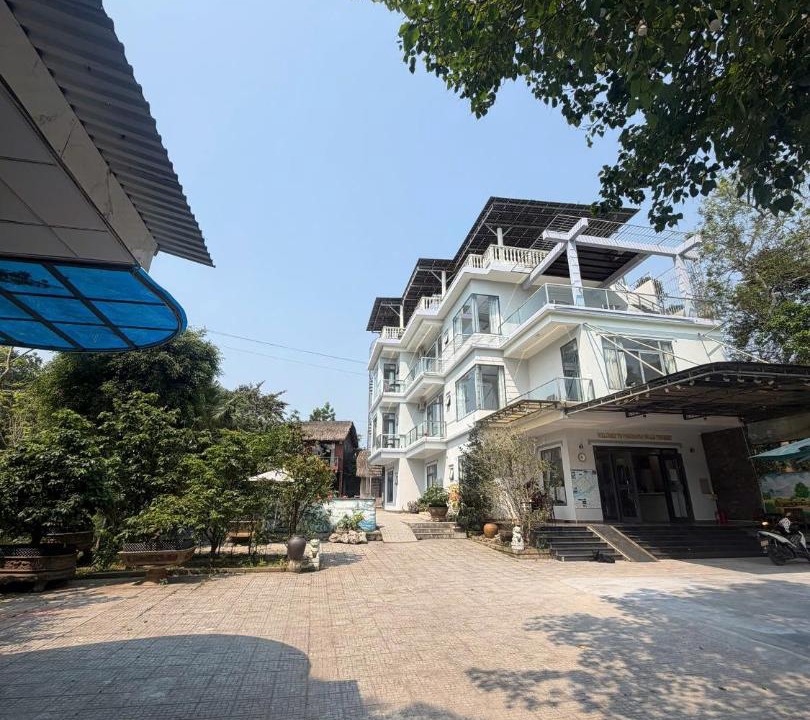 Photo of Others in Thuy Xuan