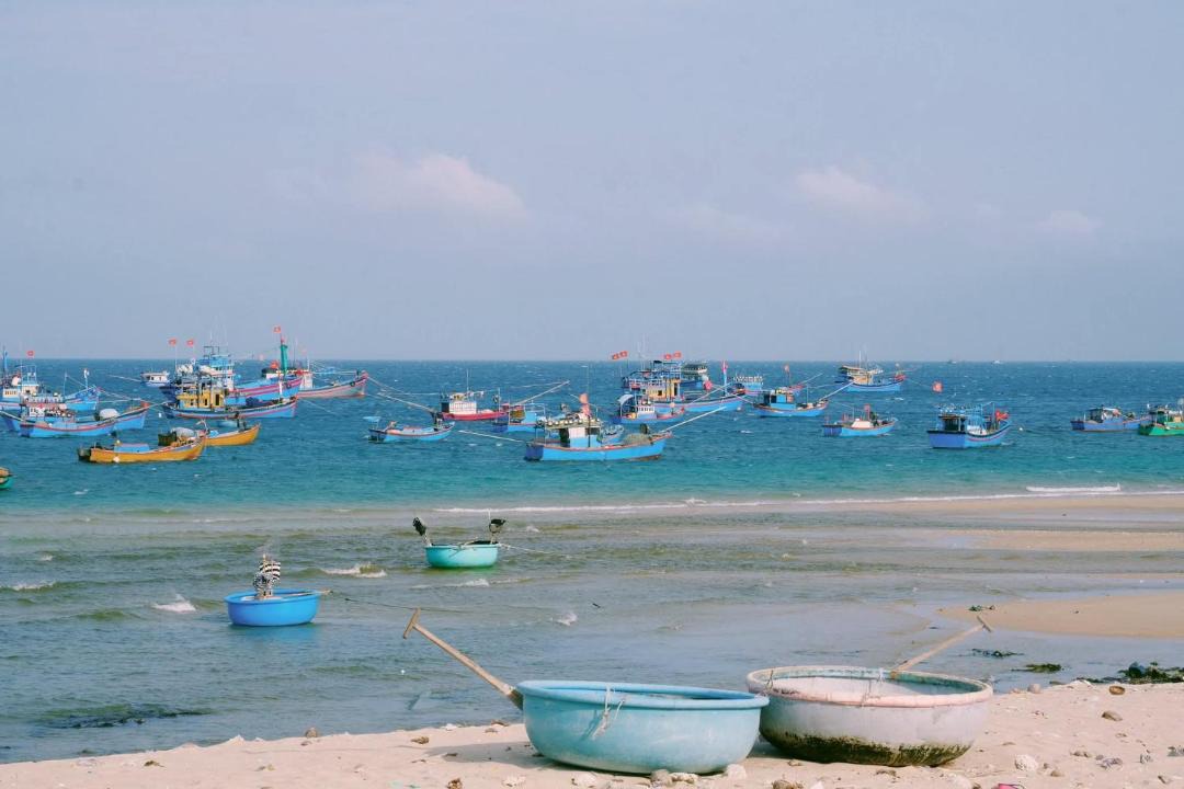 Photo of Others in Ninh Thuan