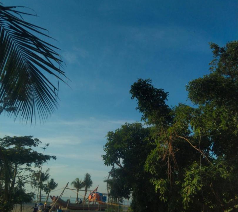 Photo of Others in Hoang Hoa
