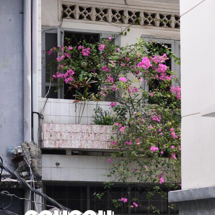 Photo of Others in Bui Thi Xuan