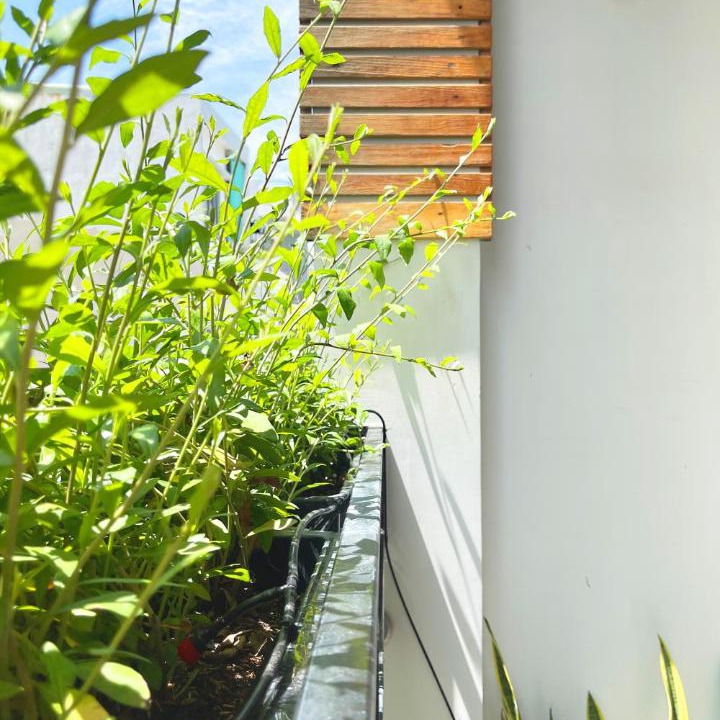 Photo of Patio Balcony in Hai Chau