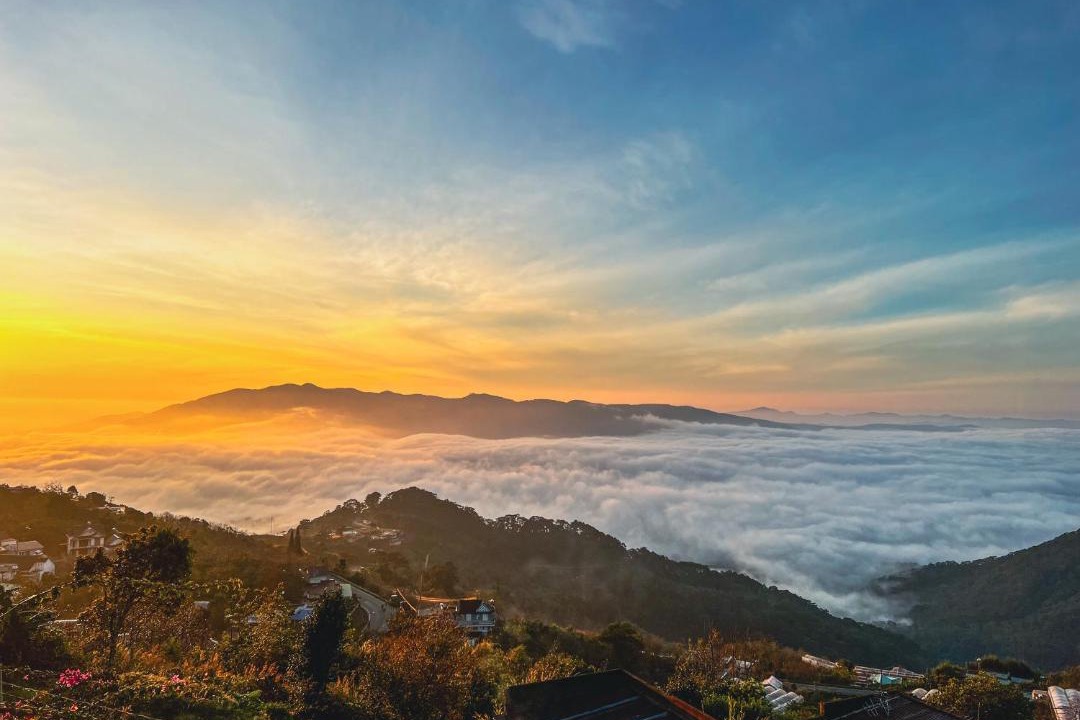 Photo of Others in Da Lat