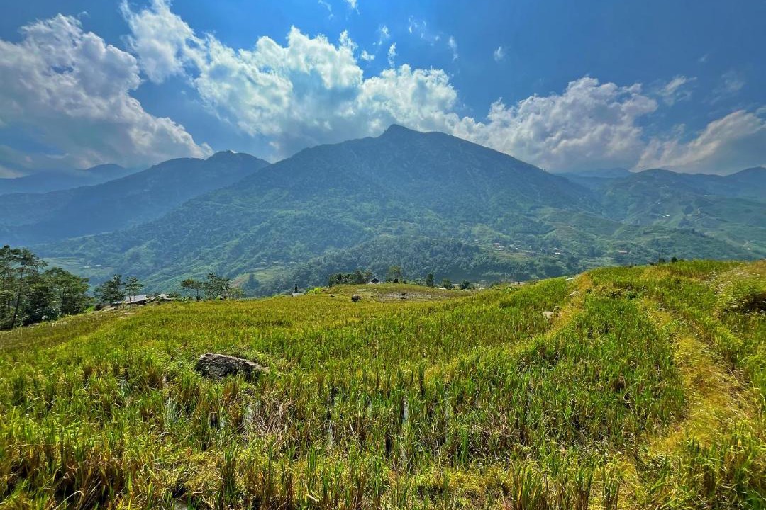 Photo of Others in Sa Pa
