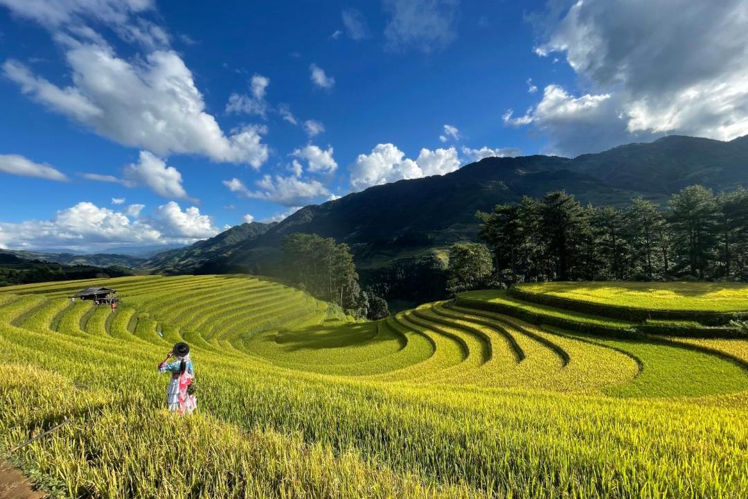 Photo of Others in Mu Cang Chai