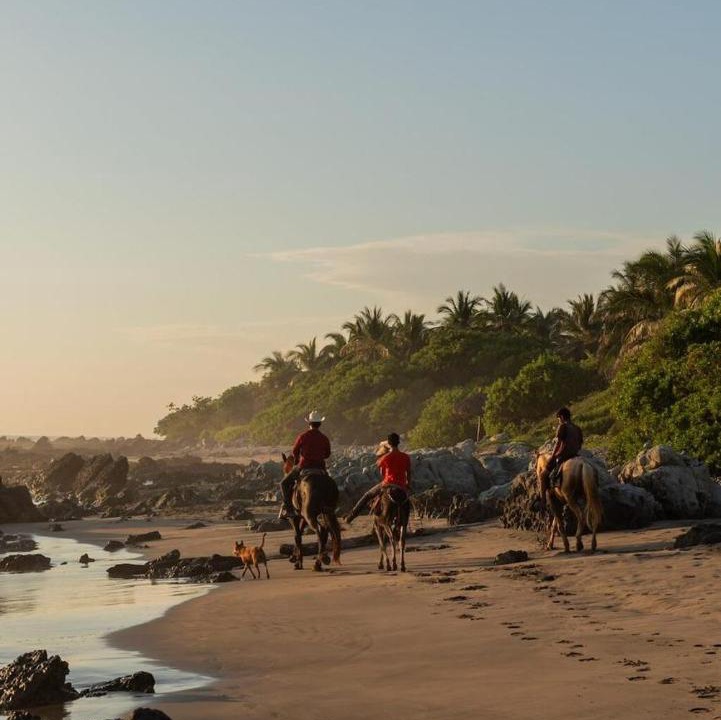 Photo of Others in Troncones