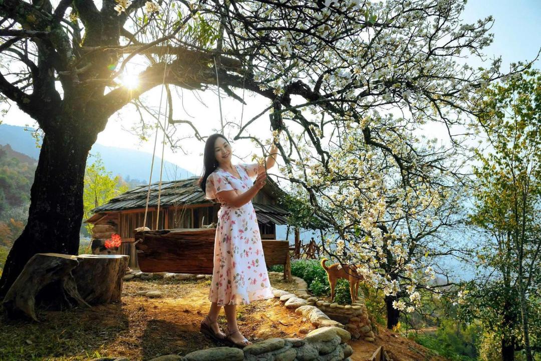 Photo of Others in Muong La
