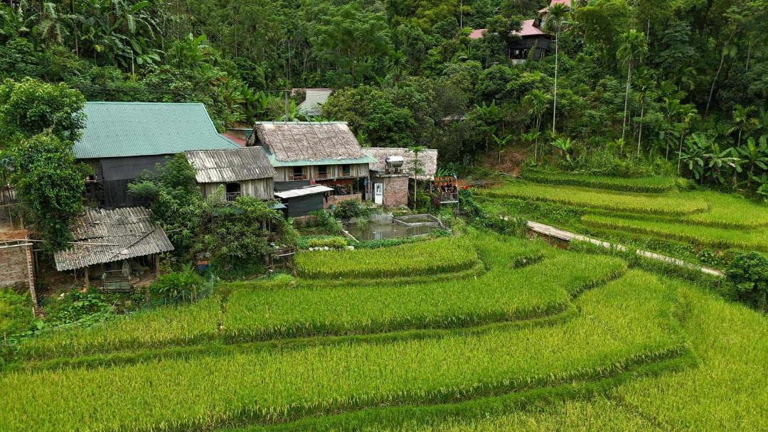 Photo of Others in Pu Long Nature Reserve